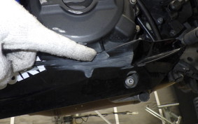 KAWASAKI NINJA 250 2 2026 EX250P