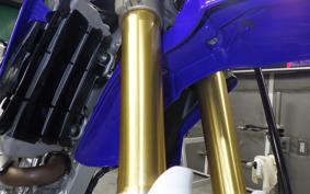YAMAHA WR250R 2019 DG15J