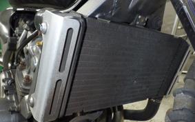 HONDA HORNET 250 MC31