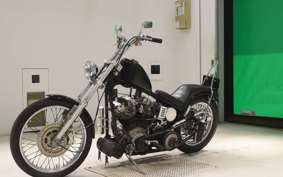 OTHER UNREGISTERED MODEL by BDS1200 1996