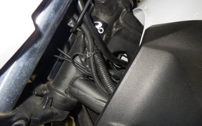 KAWASAKI Z250 2020 ER250C