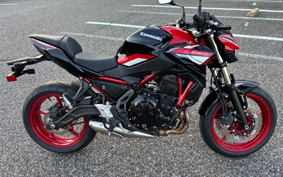 KAWASAKI Z650 2024 ER650S
