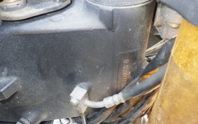 SUZUKI DL1000 ( V-Strom 1000 )