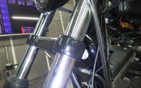 HARLEY XL883N 2019