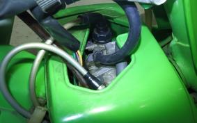 HONDA PAL 2026 NC50