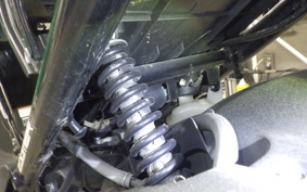 HONDA ZOOMER 2025 AF58