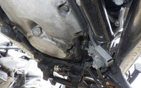 KAWASAKI W800 2017 EJ800A