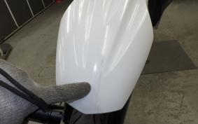 YAMAHA WR250X 2022 DG15J