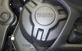 YAMAHA YZF-R25 2009 RG43J