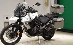 TRIUMPH TIGER 800 2019