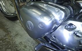 KAWASAKI W800 2021 EJ800B
