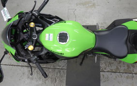 KAWASAKI ZX-4RR 2023 ZX400P