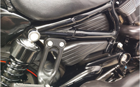 HARLEY VRSCDX NIGHT ROAD SPL 2010 HHH