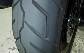 HARLEY FXLRST1920 2024