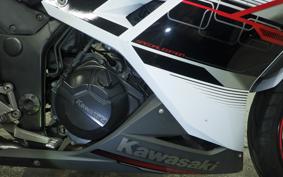 KAWASAKI NINJA 250 ABS EX250L