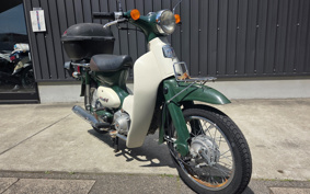 HONDA LITTLE CUB C50