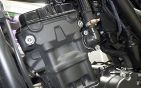HONDA REBEL 250 2022 MC49