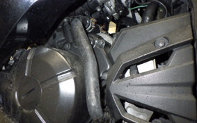 KAWASAKI NINJA 250 2008 EX250L