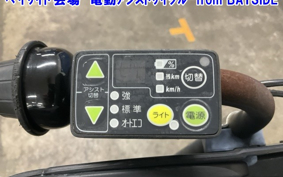 OTHER DENDOU ASSIST JI TON  CAR 