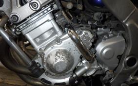 YAMAHA ZEAL 2011 3YX