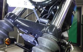 HARLEY XL1200NS 2019