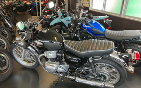 KAWASAKI W800 2025 EJ800E