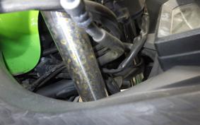 KAWASAKI NINJA 250 2025 EX250L