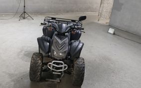 OTHER  BUGGY 50CC ..