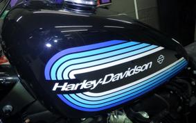 HARLEY XL1200NS 2019
