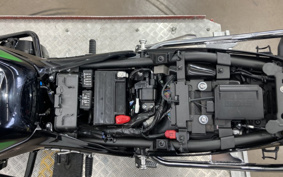 KAWASAKI Z900RS CAFE 2025 ZR900K