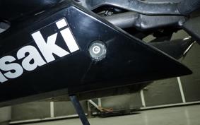 KAWASAKI Ninja 150RR 2025