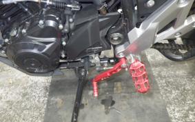 SUZUKI V-STROM 250