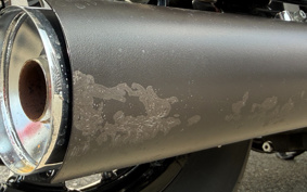 HARLEY FXBBS 2024 YYK