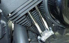 HARLEY XL1200NS 2019