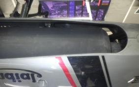 OTHER +UNREGISTERED MODEL by BDS125 1993