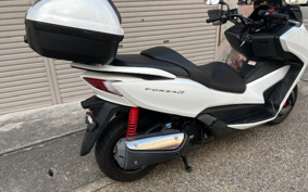 HONDA FORZA MF12