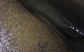 HONDA SL250S 2015 SL250S