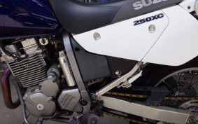 SUZUKI DJEBEL250XC SJ45A