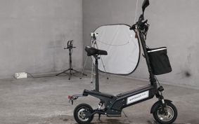 OTHER  ELECTRIC SCOOTER  I NO HOT  EKO GO- ..