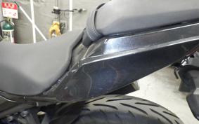 KAWASAKI NINJA 250 2021