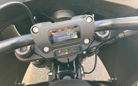 HARLEY  HARLEY FXLRST 2025 YXZ