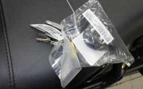 HARLEY FXLRST1920 2025