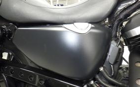 HARLEY XL883N 2020