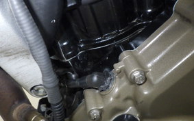 HUSQVARNA SVARTPILEN 250 2019