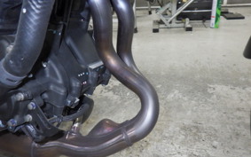 KAWASAKI ELIMINATOR400-3 2023 EL400A