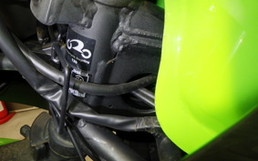 KAWASAKI NINJA 250 EX250L