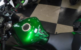 KAWASAKI NINJA 1000 ABS 2019 ZXT00W