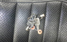 HARLEY FXDL 1580 2015