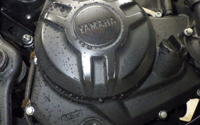YAMAHA MT-03 2019 RH13J