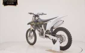 TRIUMPH TF250-X